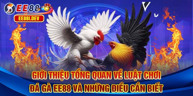 gioi-thieu-tong-quan-ve-luat-choi-da-ga-ee88-va-nhung-dieu-can-biet