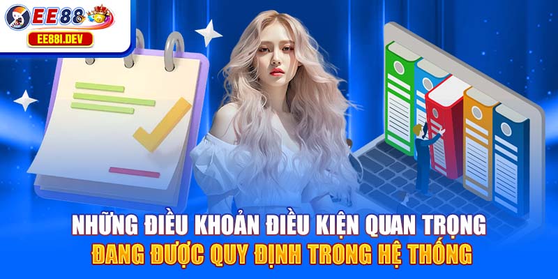 nhung-dieu-khoan-dieu-kien-quan-trong-dang-duoc-quy-dinh-trong-he-thong