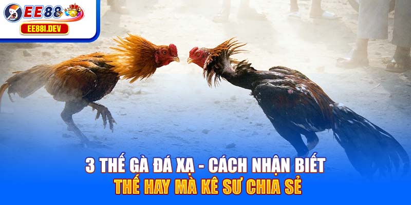3-the-ga-da-xa-cach-nhan-biet-the-hay-ma-ke-su-chia-se