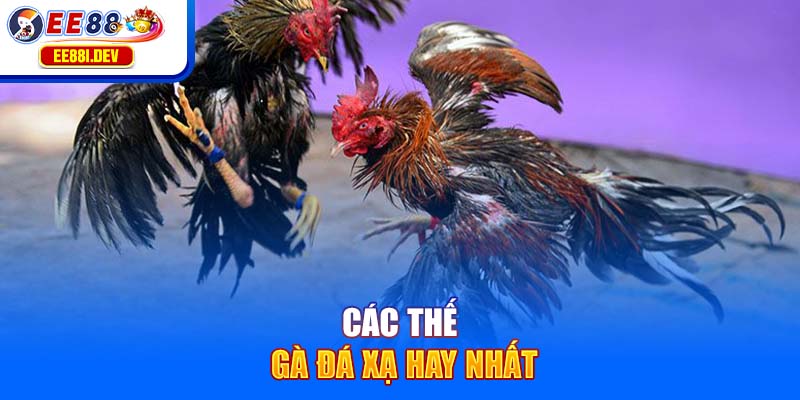 cac-the-ga-da-xa-hay-nhat