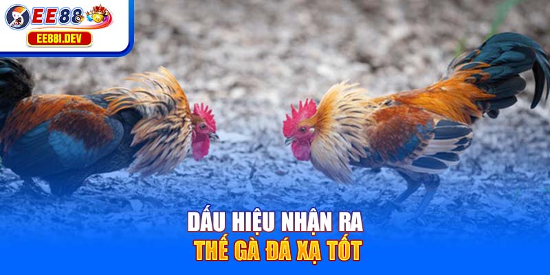 dau-hieu-nhan-ra-the-ga-da-xa-tot