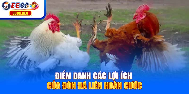 diem-danh-cac-loi-ich-cua-don-da-lien-hoan-cuoc
