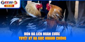 don-da-lien-hoan-cuoc-tuyet-ky-ha-guc-nhanh-chong