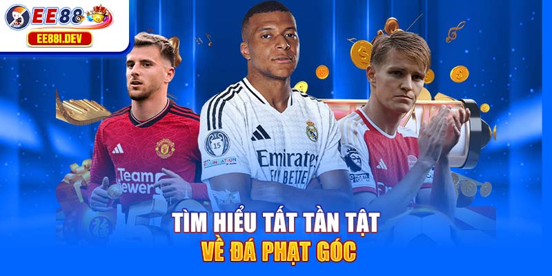 tim-hieu-tat-tan-tat-ve-da-phat-goc