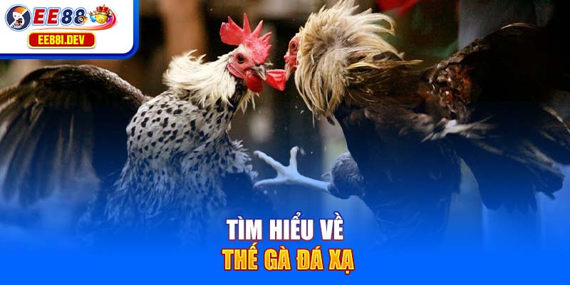 tim-hieu-ve-the-ga-da-xa